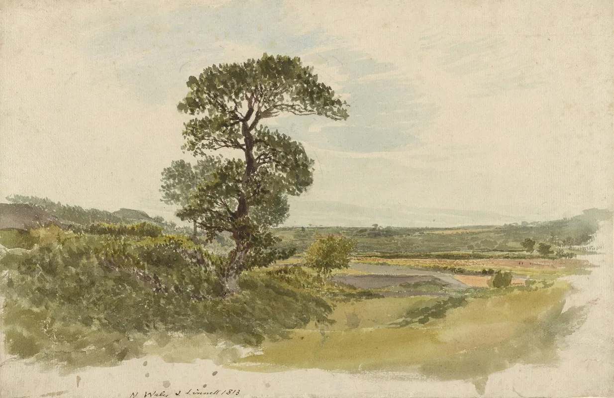 A Landscape In Snowdonia With A Tree In The Foreground
