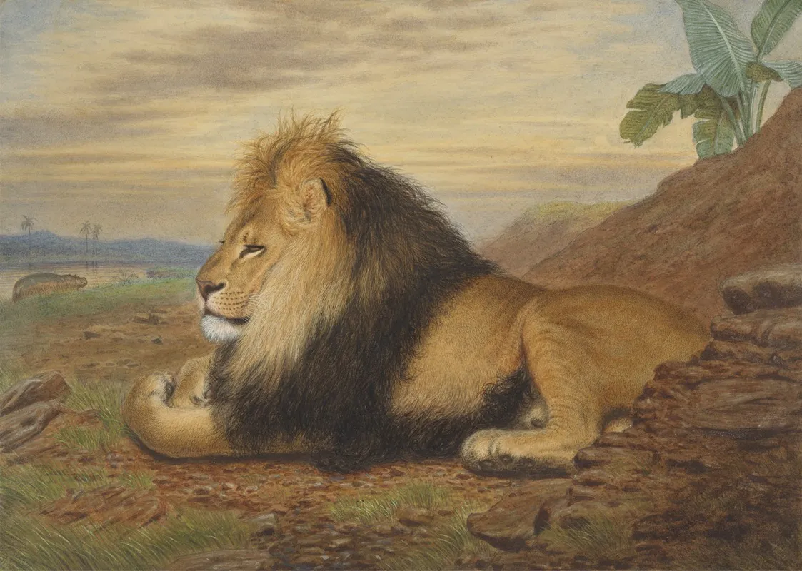 A Lion 3 Wall Art by Thomas William Wood - High-Resolution Digital Print
