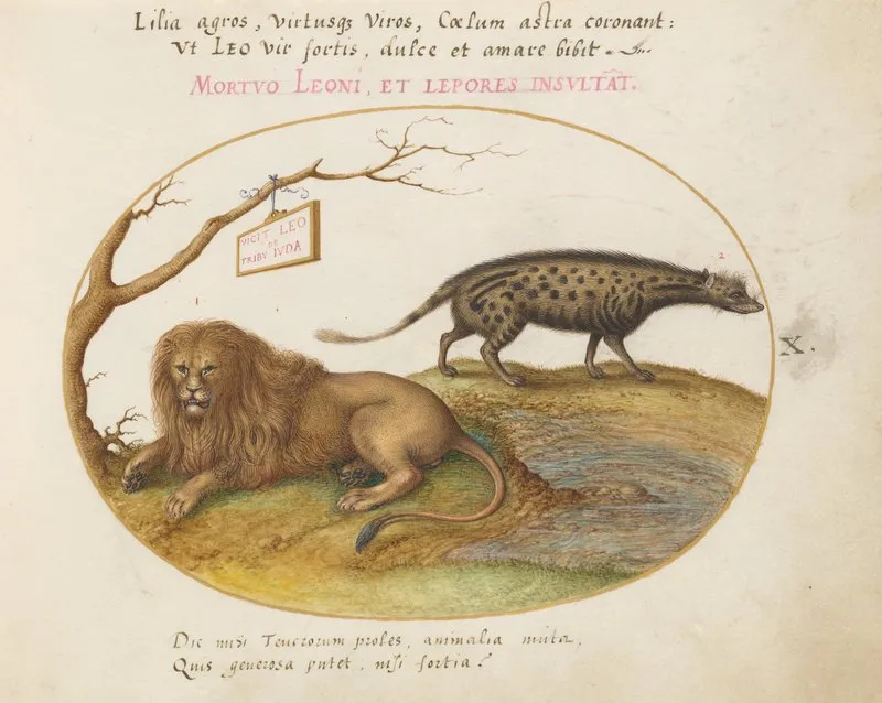 A Lion And A Civet Cat