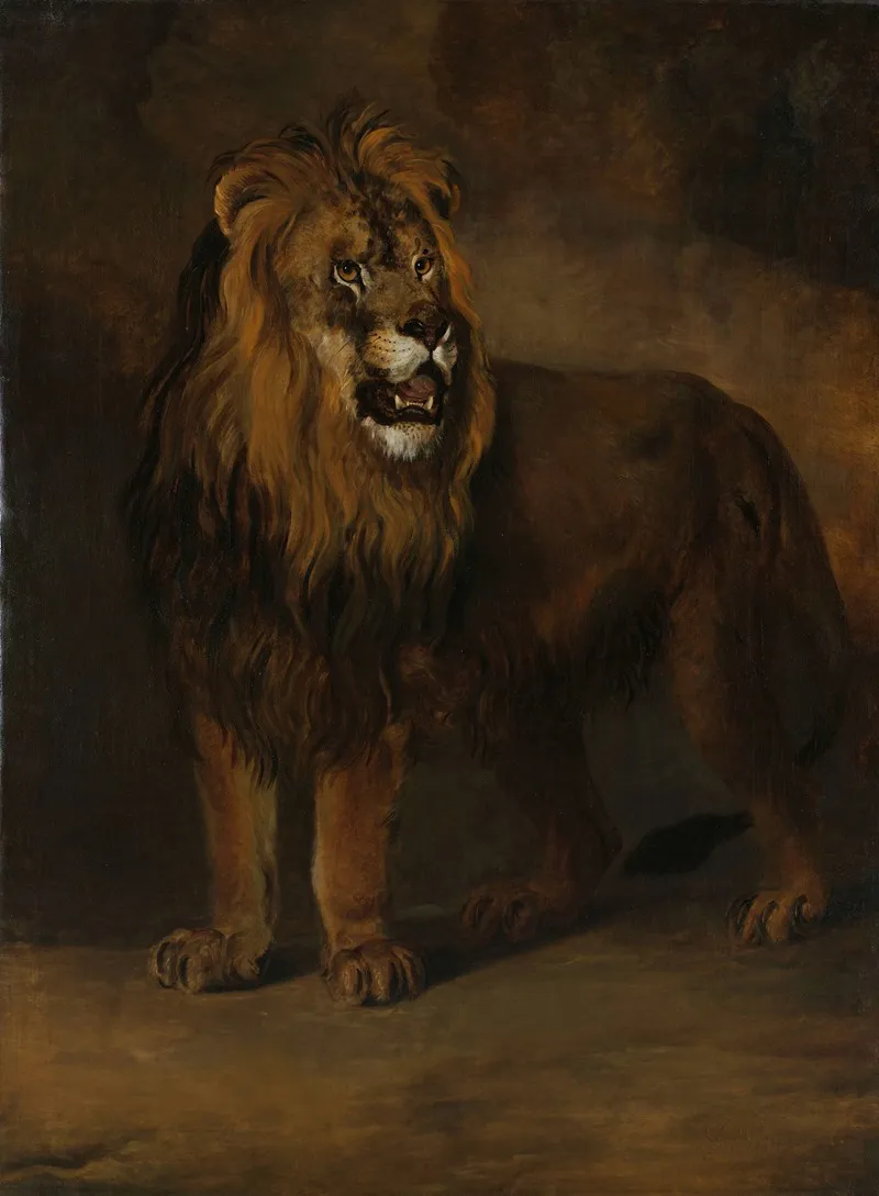 A Lion From The Menagerie Of King Louis Napoleon 1808 Wall Art by Pieter Gerardus van Os - High-Resolution Digital Print