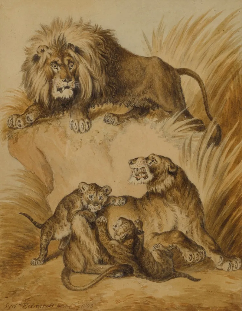 A Lion Lioness And Two Cubs Wall Art by Sydenham Edwards - High-Resolution Digital Print