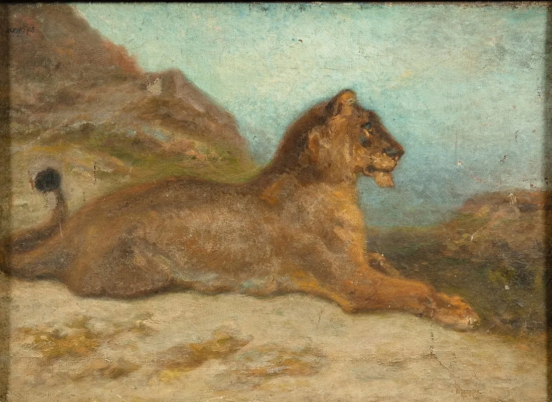 A Lioness