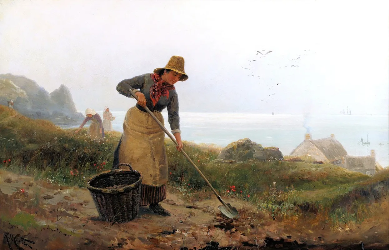 A Little Potato Garden Cornish Coast Wall Art by Richard Harry Carter - High-Resolution Digital Print