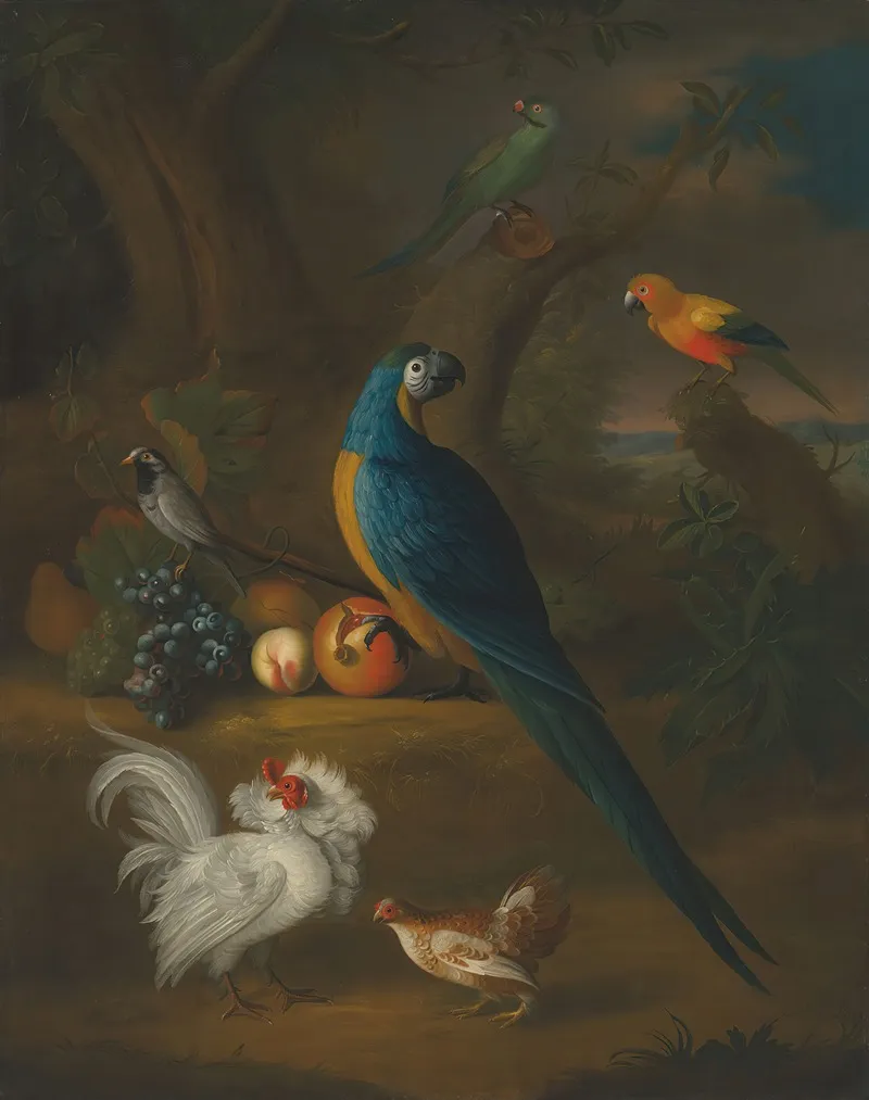 A Macaw And Other Birds In A Landscape Wall Art by Leonard Hübner - High-Resolution Digital Print