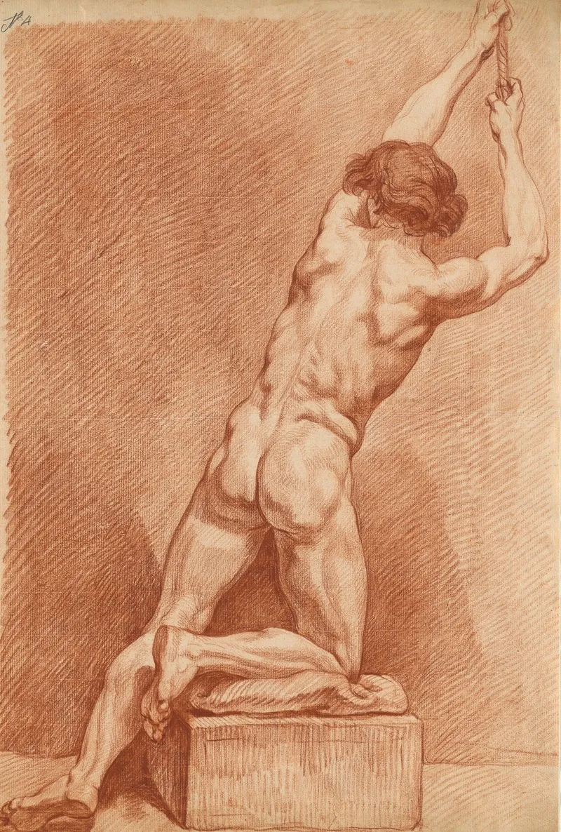 A Male Nude Seen From Behind