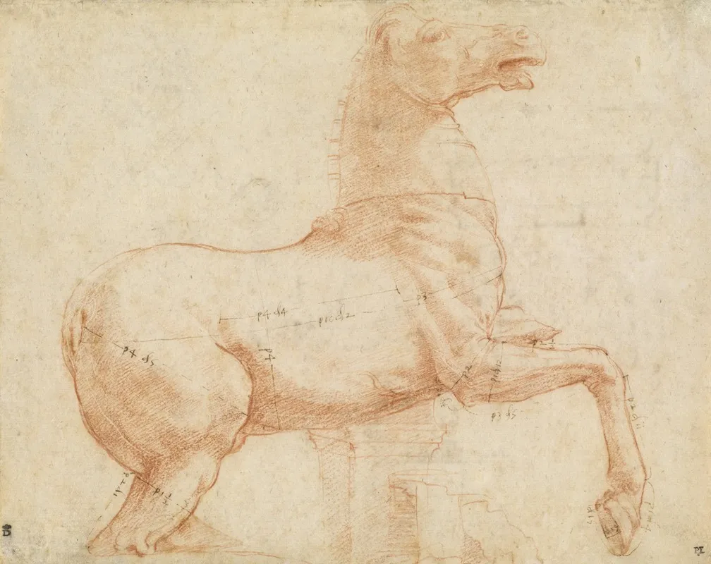 A Marble Horse On The Quirinal Hill Recto Wall Art by Raphael - High-Resolution Digital Print