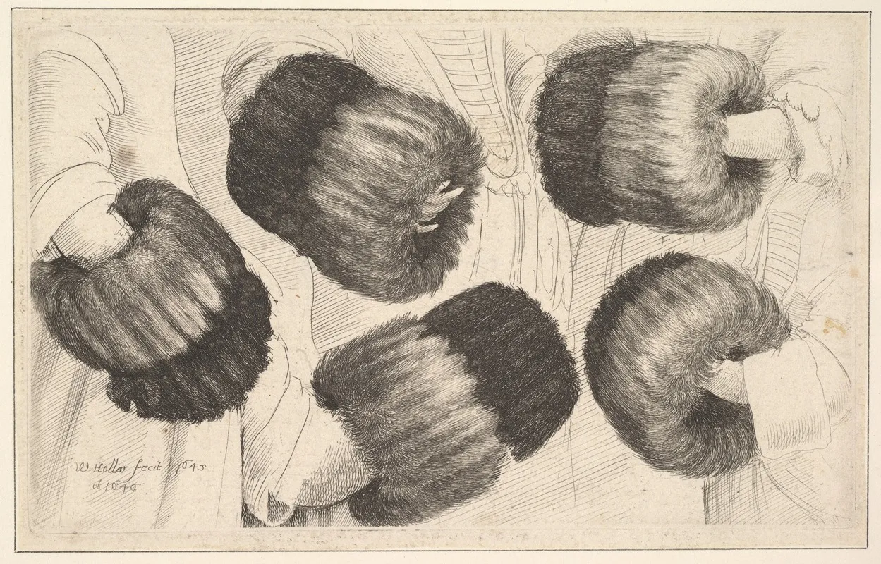 A Muff In Five Views 2