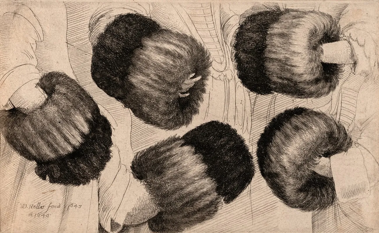 A Muff In Five Views