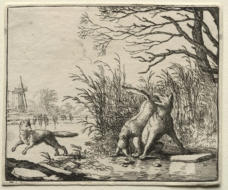A New Accusation By The Wolf