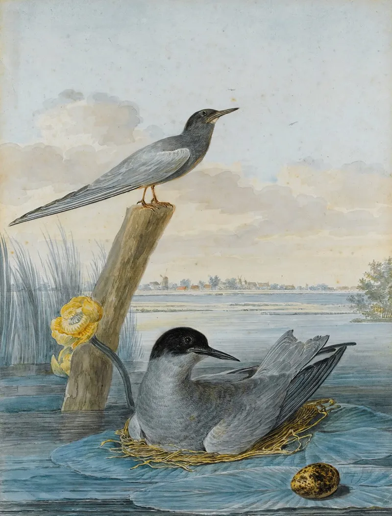 A Pair Of Black Terns With Nest And Egg In A River Landscape Wall Art by Aert Schouman - High-Resolution Digital Print