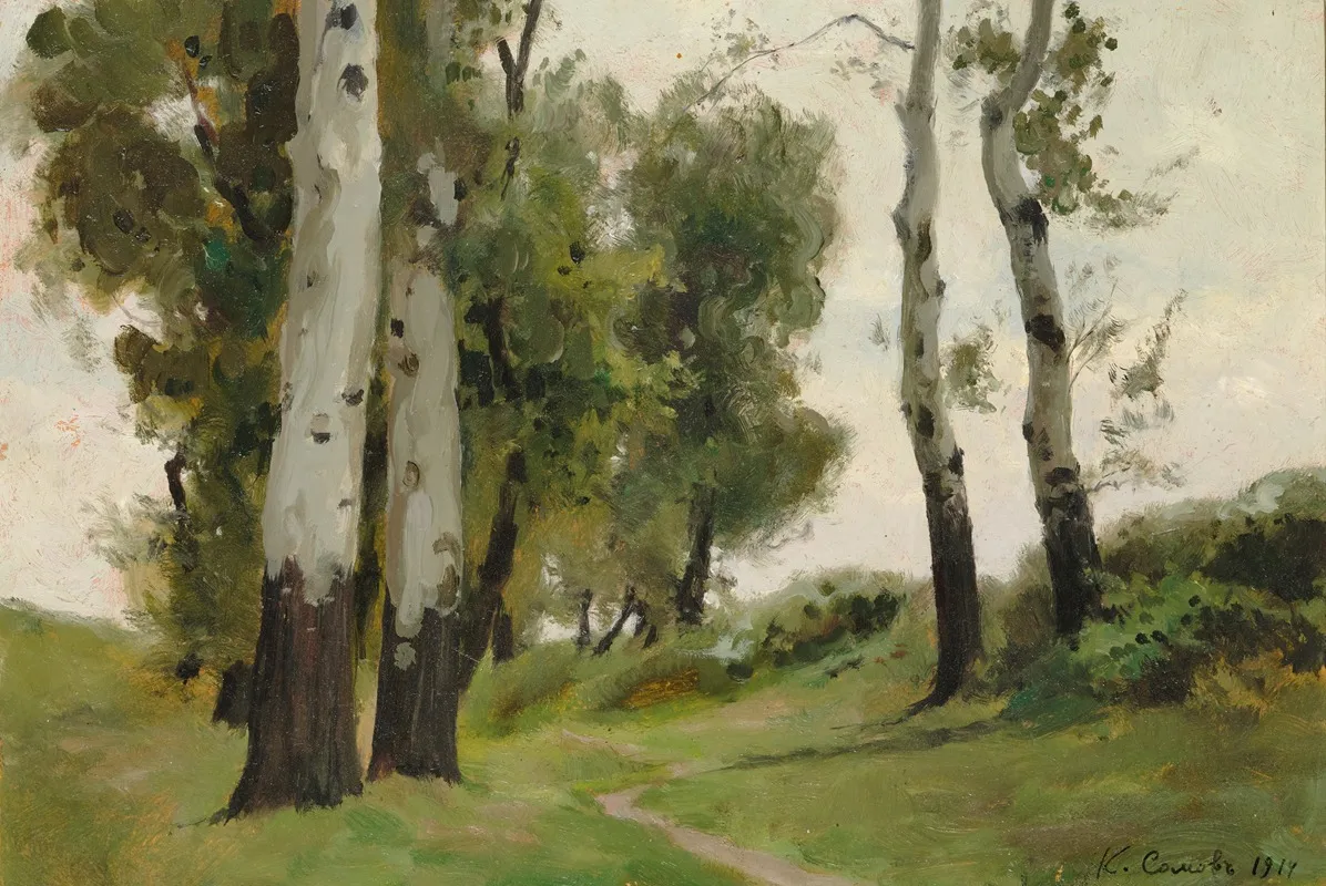 A Path Between The Birch Trees