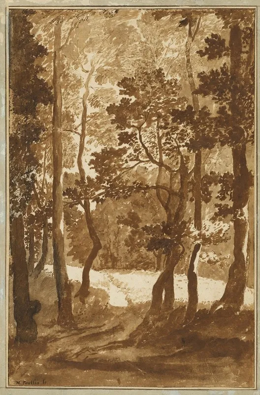 A Path Leading Into A Forest Clearing