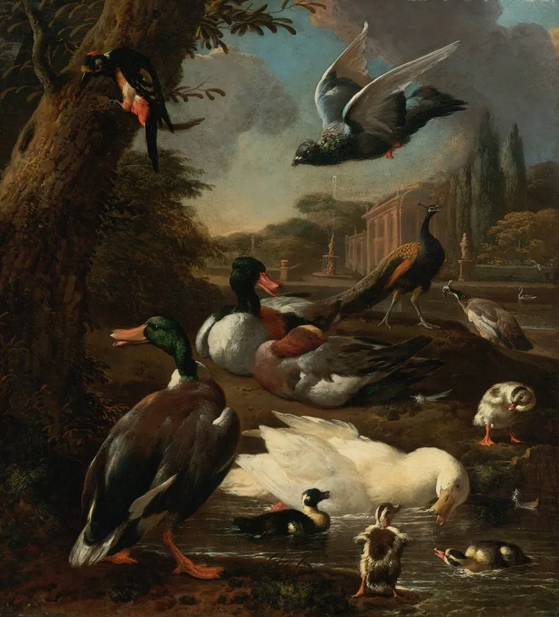 A Peacock Pigeon Ducks And Other Birds In A Garden Setting Wall Art by Melchior d'Hondecoeter - High-Resolution Digital Print