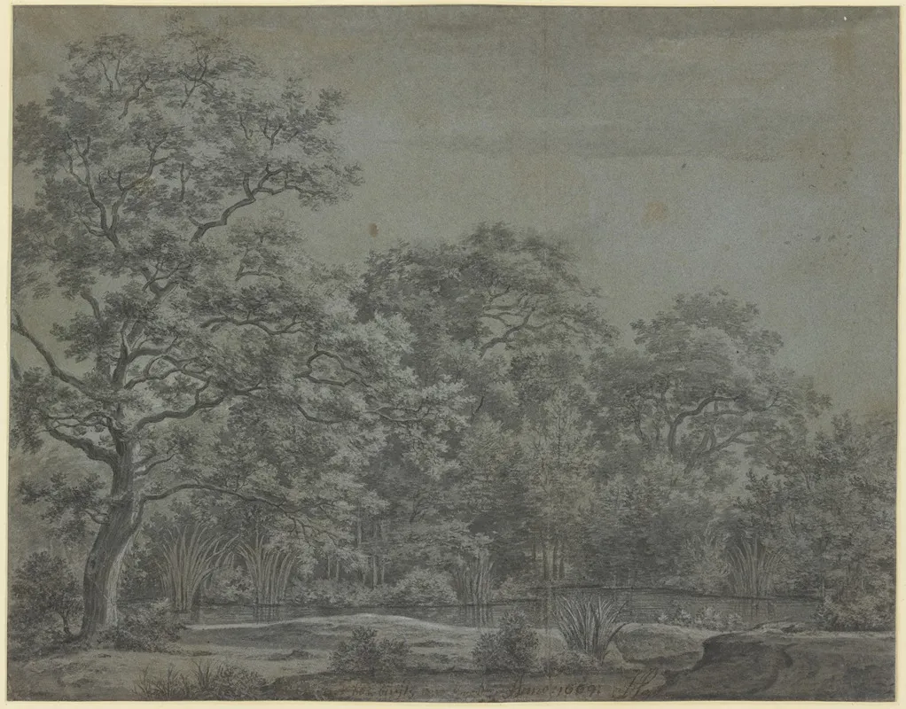 A Pond In The Forest