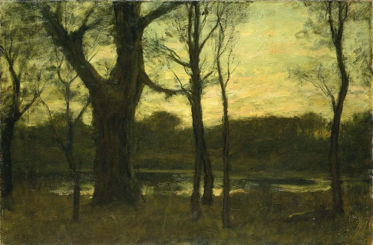 A Pool In The Forest