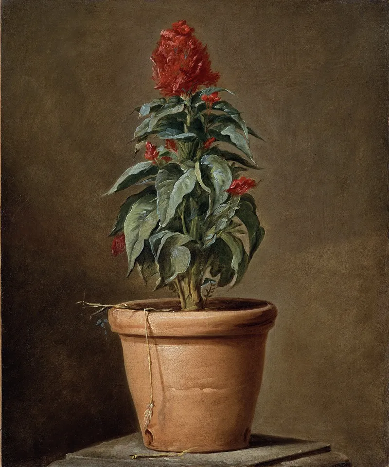 A Potted Plant Wall Art by Henri-Horace Roland Delaporte - High-Resolution Digital Print