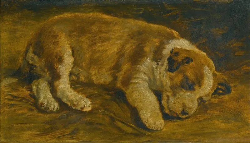 A Puppy Sleeping Wall Art by Follower of Sir Edwin Henry Landseer - High-Resolution Digital Print