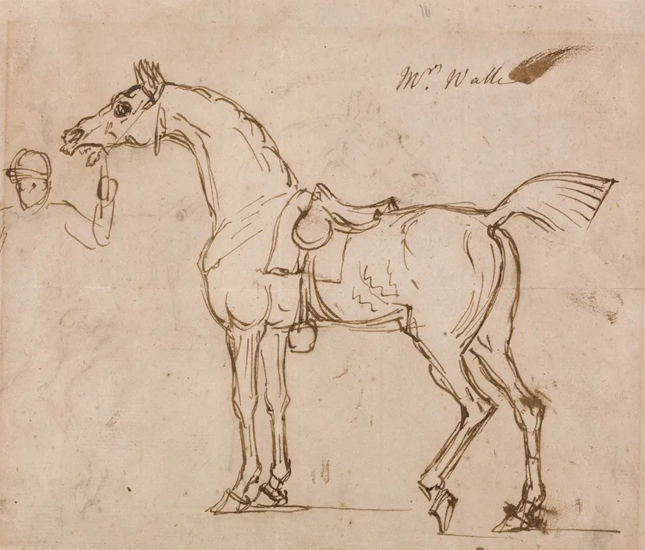 A Racehorse Bridled And Saddled