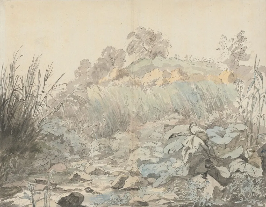 A Rocky Stream 2 Wall Art by Samuel Woodforde - High-Resolution Digital Print