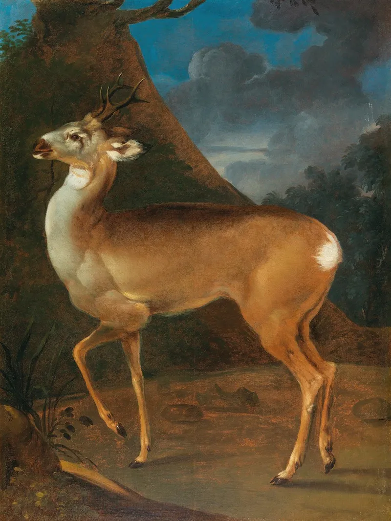 A Roebuck Wall Art by Heinrich Lihl - High-Resolution Digital Print