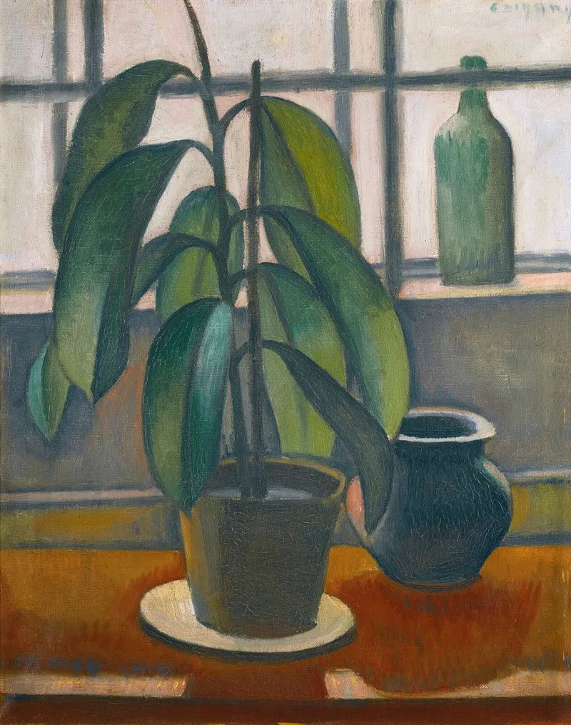 A Rubber Plant On A Window Ledge Wall Art by Dezsö Czigány - High-Resolution Digital Print