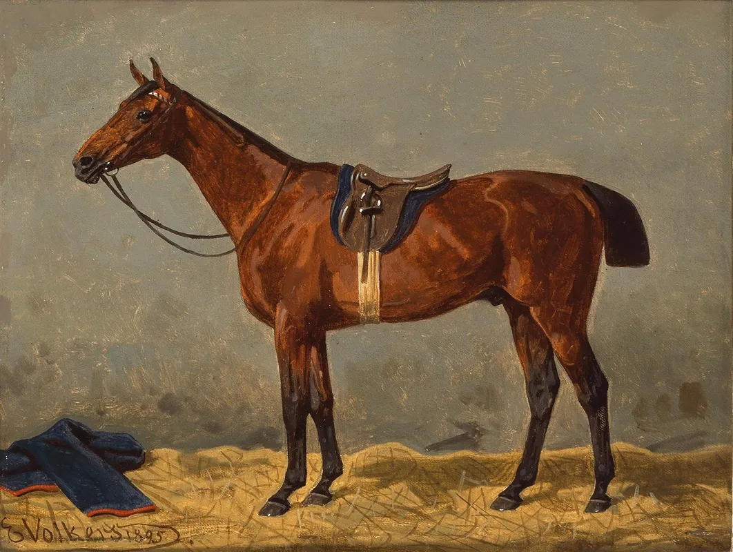A Saddled Bay Horse In A Stable 3