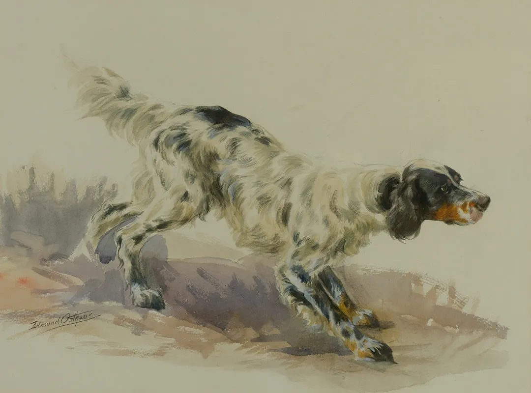 A Setter At Work Wall Art by Edmund Henry Osthaus - High-Resolution Digital Print