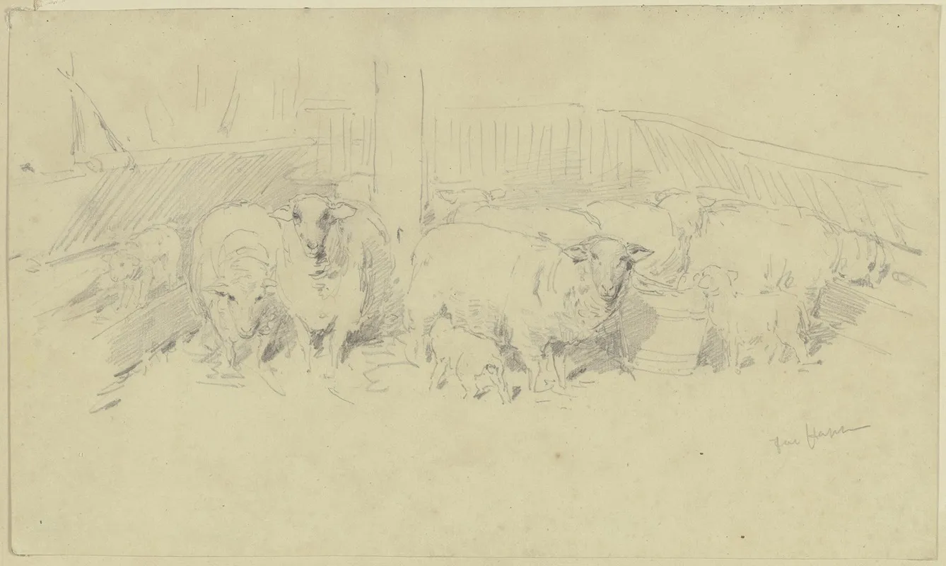 A Sheepfold