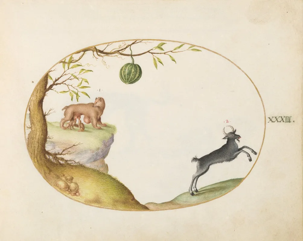 A Simivulpa Opossum And An Ibex