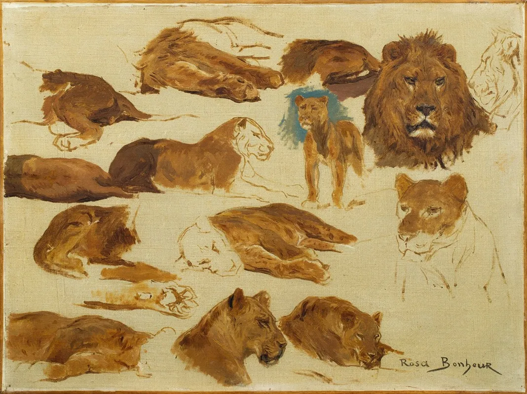 A Sketch Of Lions And Lionesses Wall Art by Rosa Bonheur - High-Resolution Digital Print