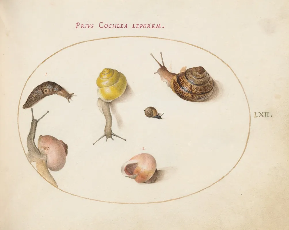 A Slug With Snails