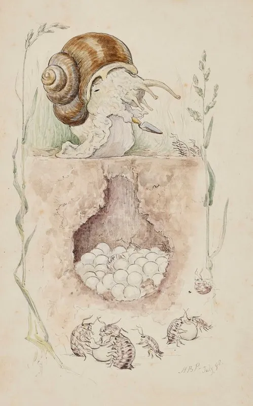 A Snail Guarding Their Nest Wall Art by Beatrix Potter - High-Resolution Digital Print