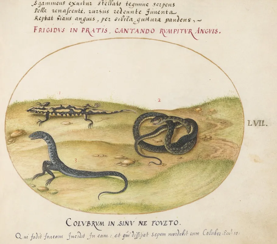 A Snake A Fire Salamander And A Snakelike Creature With Two Legs