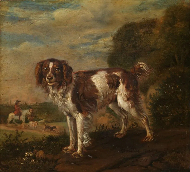 A Spaniel