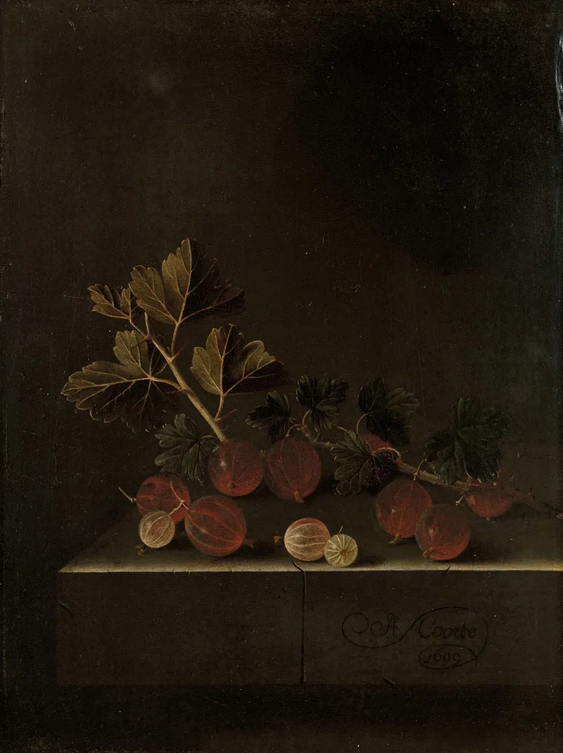 A Sprig Of Gooseberries On A Stone Plinth Wall Art by Adriaen Coorte - High-Resolution Digital Print