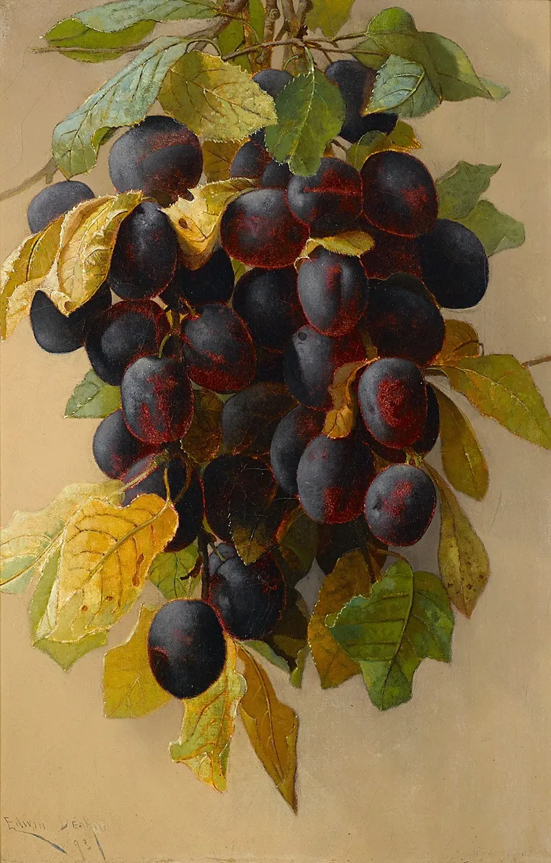 A Still Life With Plums Wall Art by Edwin Deakin - High-Resolution Digital Print