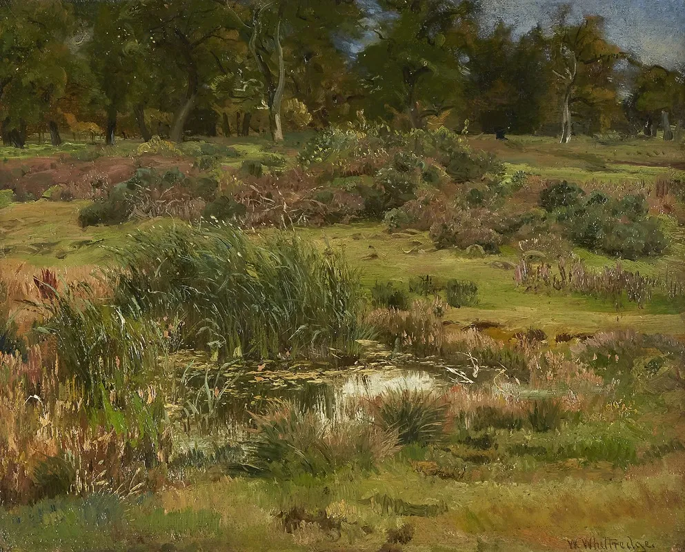 A Study Made In The Sheep Pasture At Namen