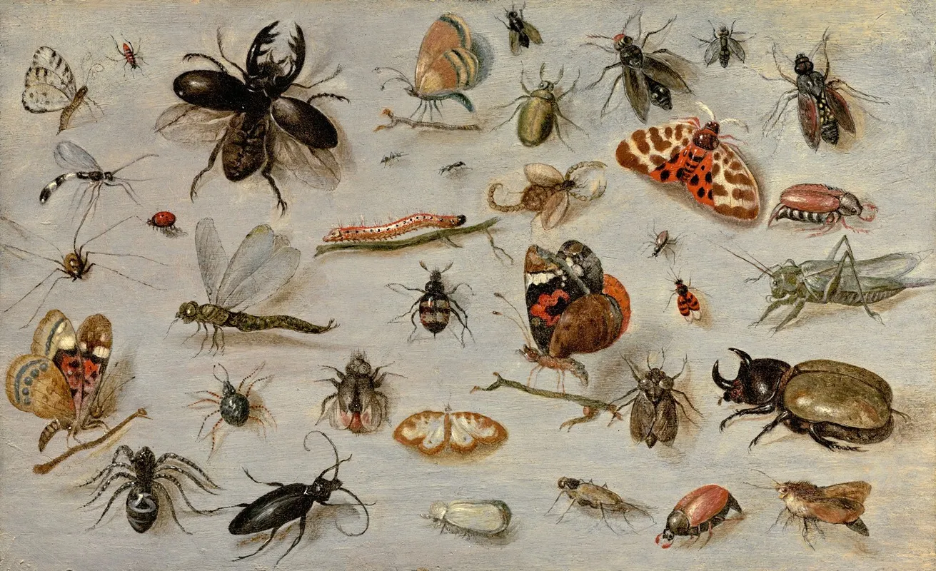 A Study Of Butterflies Moths Spiders And Insects Wall Art by Jan Van Kessel The Elder - High-Resolution Digital Print