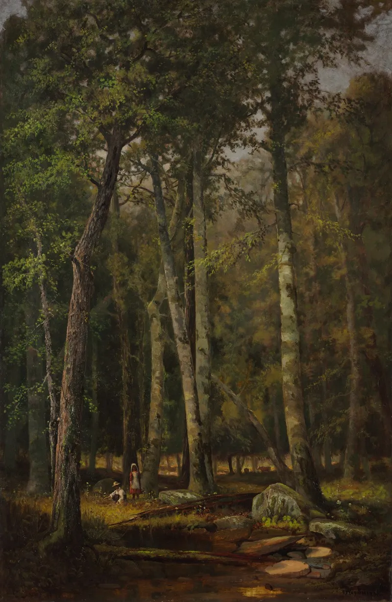 A Summer Afternoon