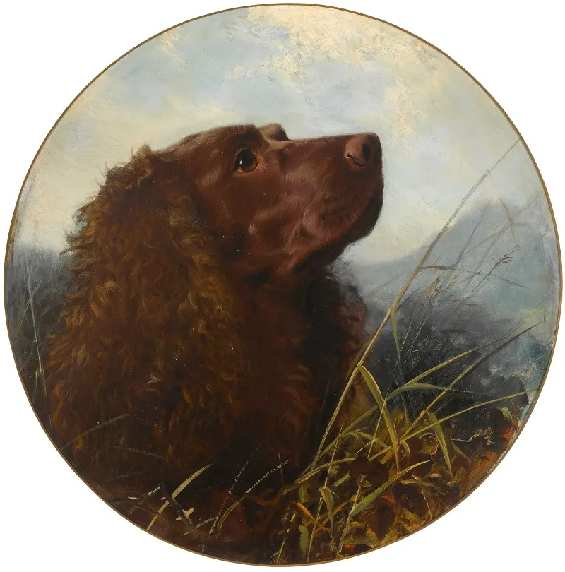A Sussex Spaniel Wall Art by George Earl - High-Resolution Digital Print