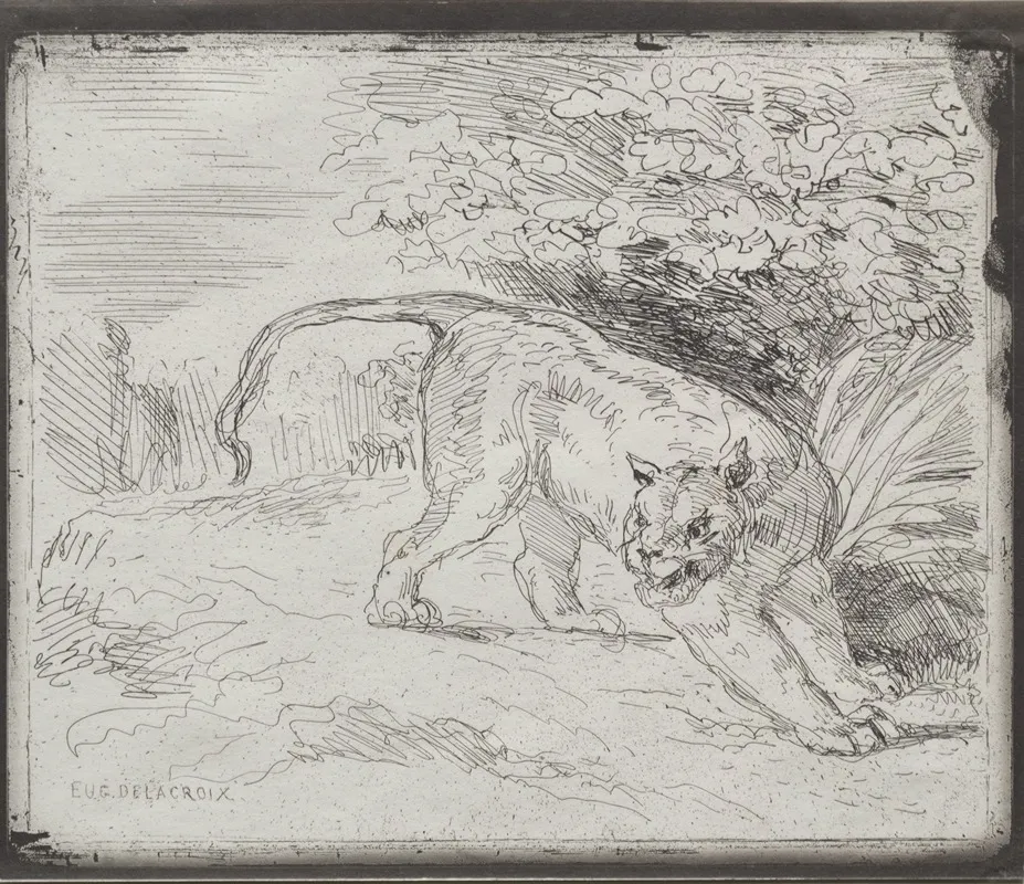A Trapped Tiger