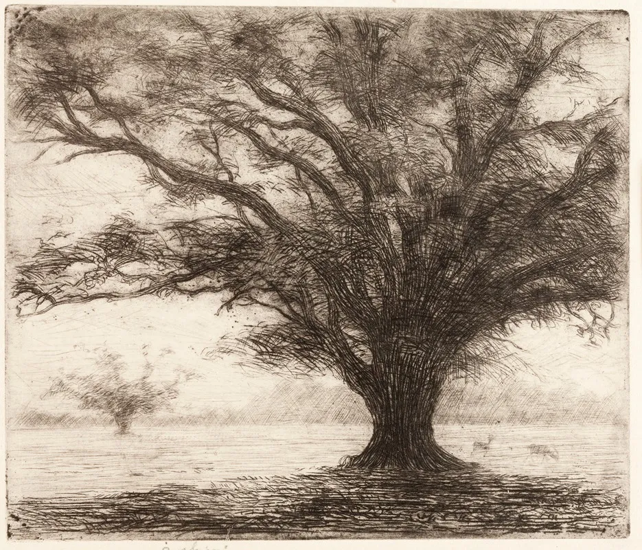 A Tree In The Hampton Court Park Near London
