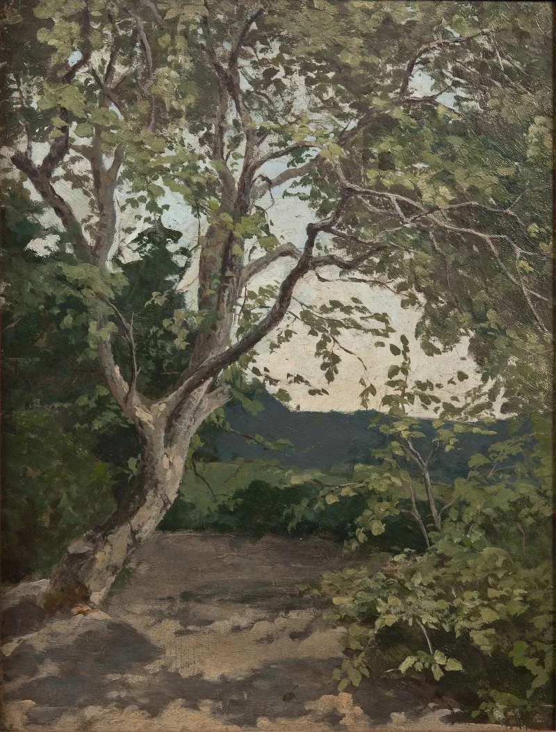 A Tree Study 2 Wall Art by Anna Nordlander - High-Resolution Digital Print