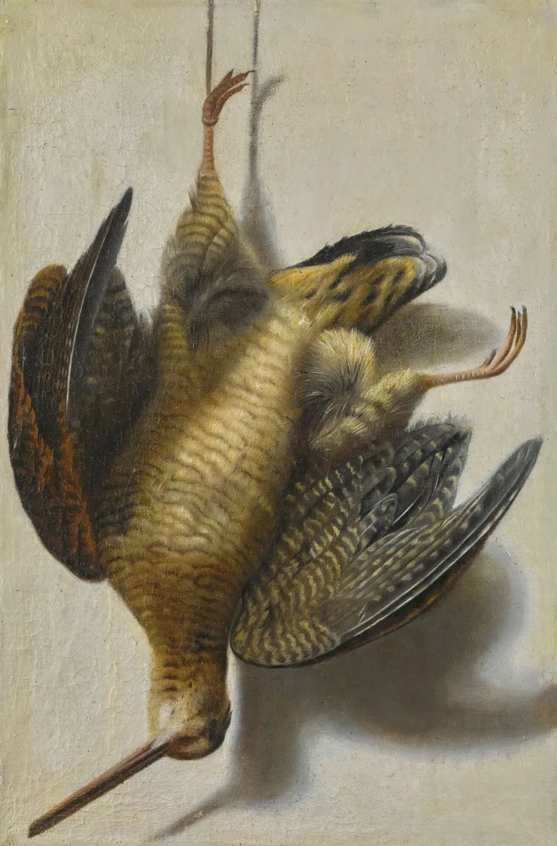 A Trompe Loeil With A Woodcock Hanging Before A Wall Wall Art by Cornelis Biltius - High-Resolution Digital Print