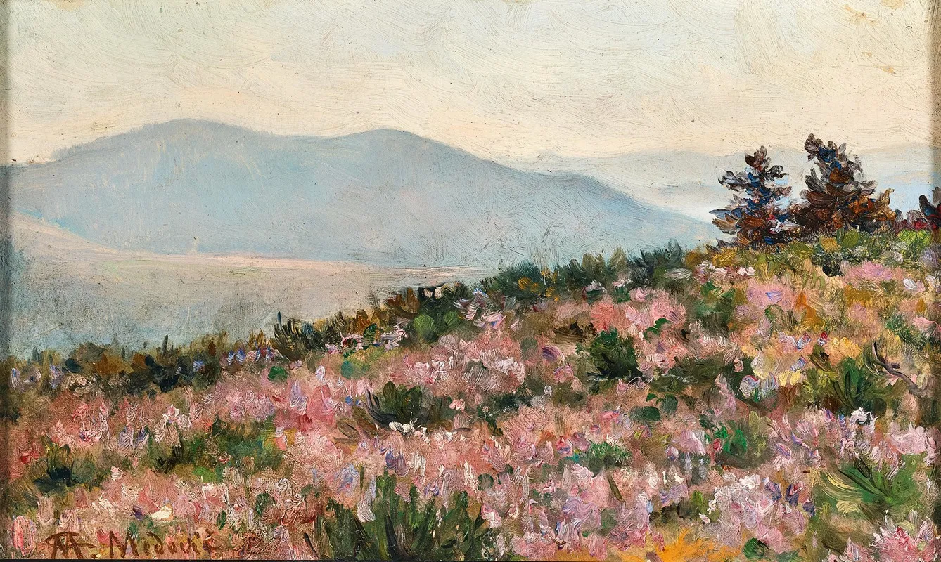 A View Of Peljesac With Heather In Bloom Wall Art by Mato Celestin Medovic - High-Resolution Digital Print