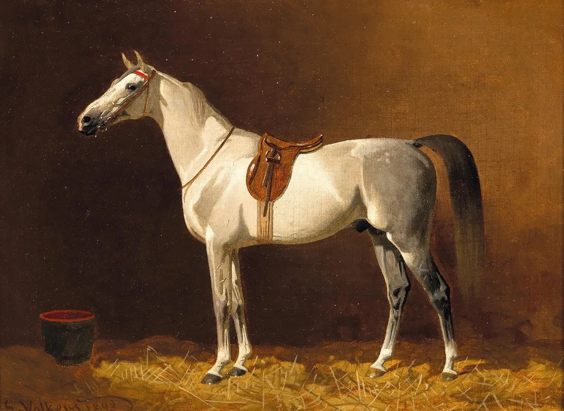 A White Horse In A Stable
