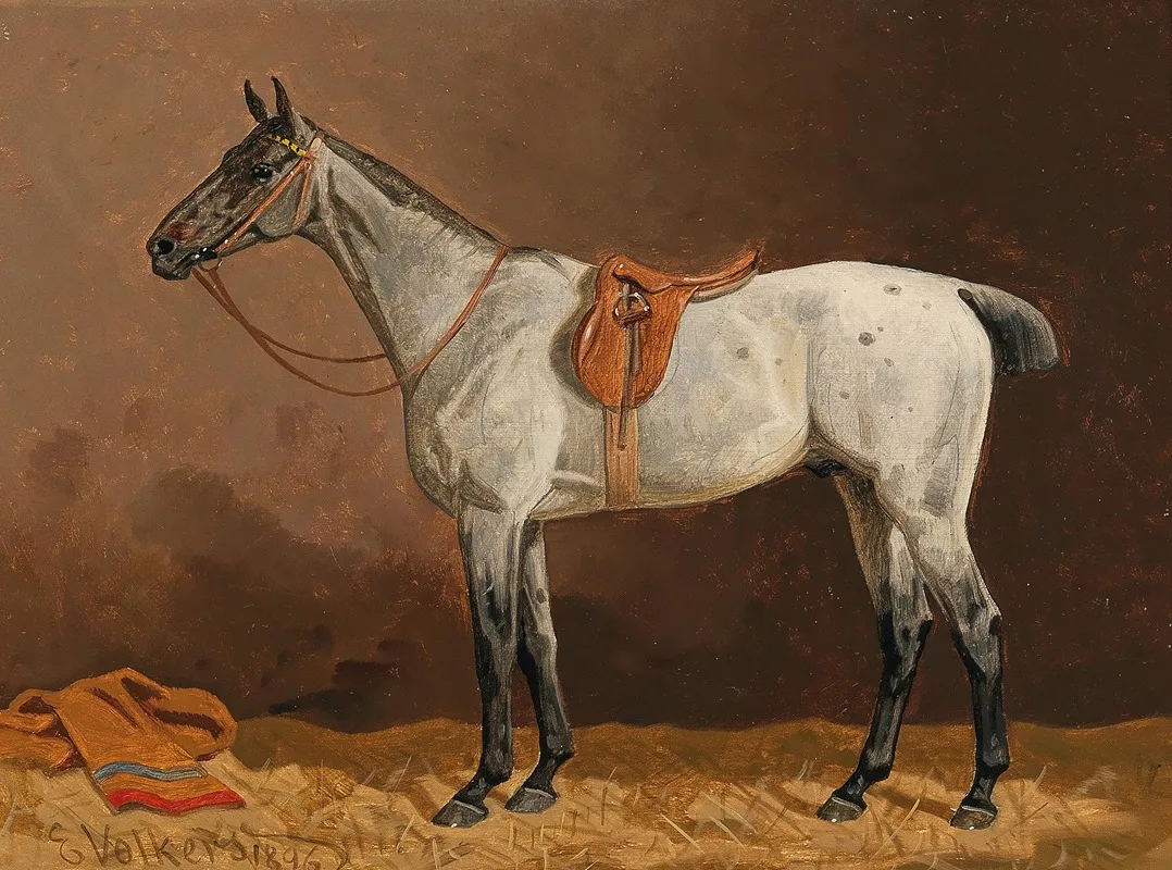 A White Horse In The Stable