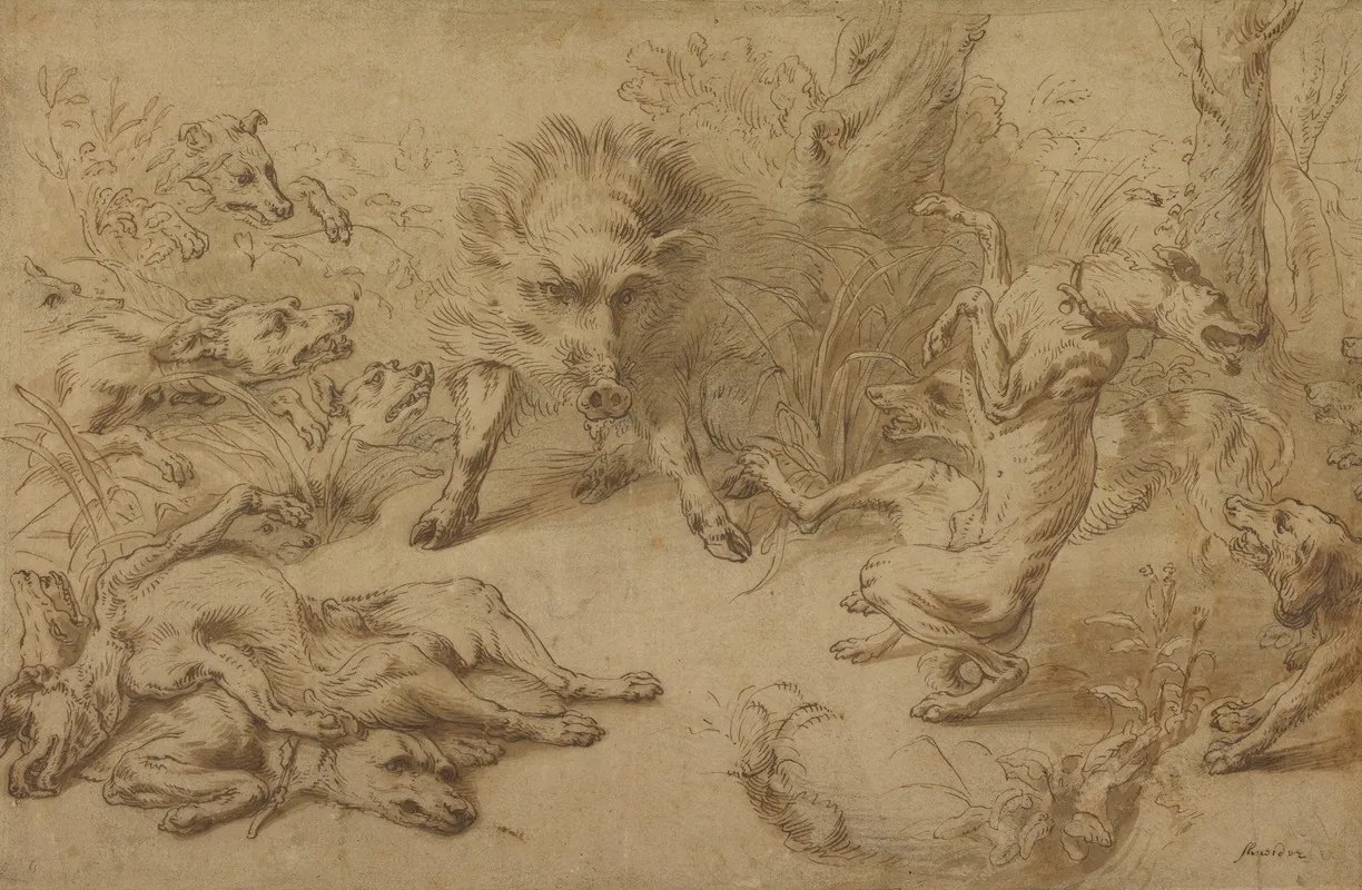 A Wild Boar At Bay
