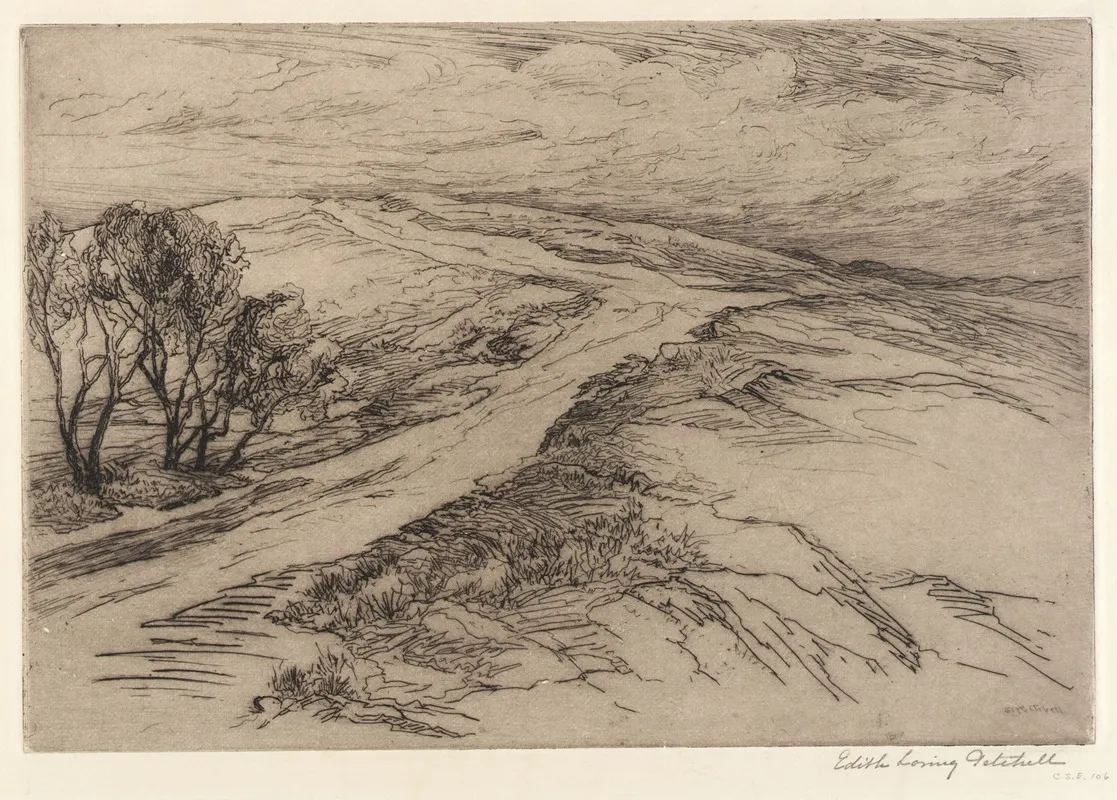 A Windswept Road Wall Art by Edith Loring Getchell - High-Resolution Digital Print