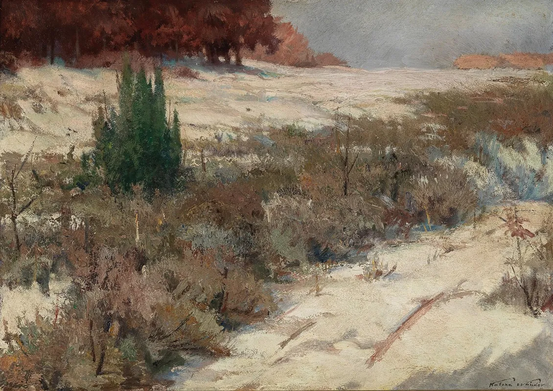 A Winter Landscape 4